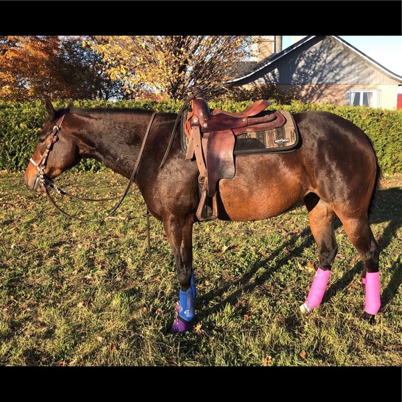 Meet your Posher, Frederique - Picture 1 of 1